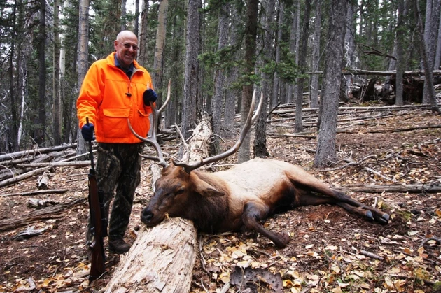 Colorado Hunting License Application Deadline