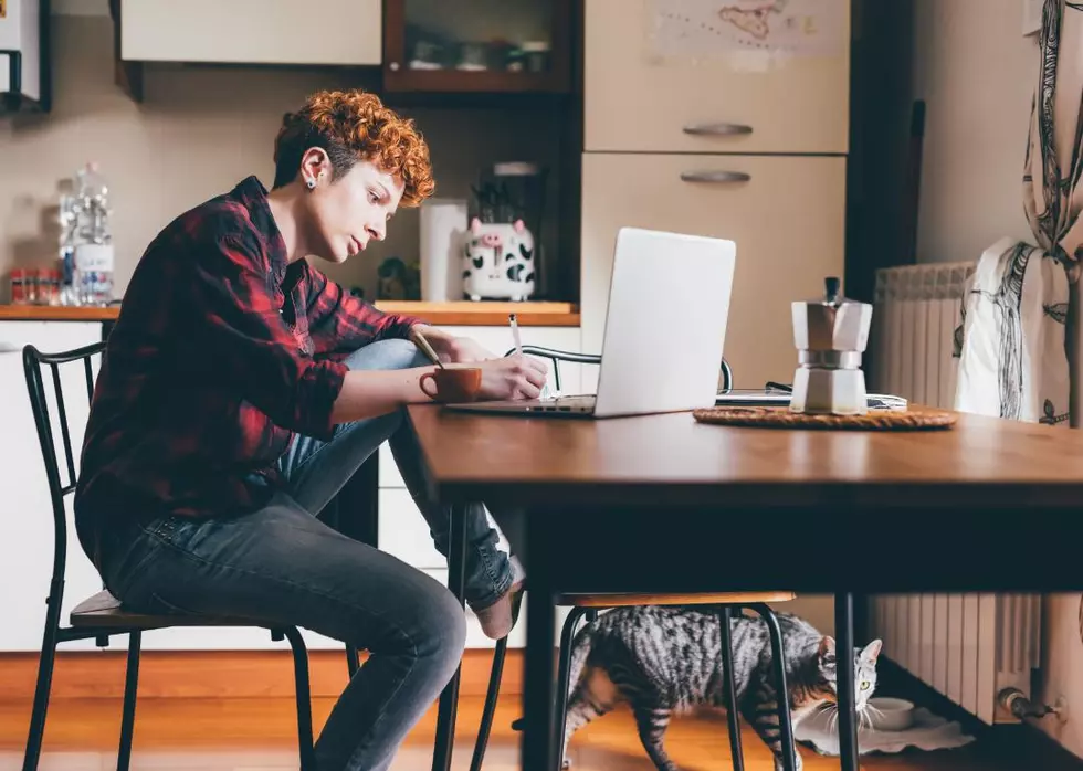 50 Remote Jobs That Can Pay Well