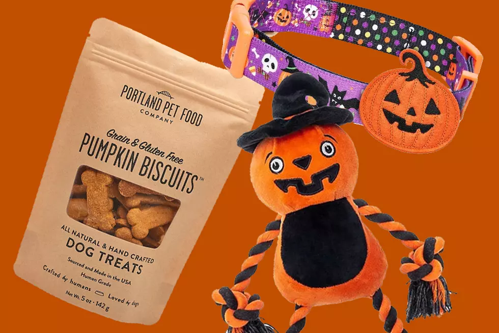 Don’t Let Your Fur Babies Miss Out on These Fall Goodies