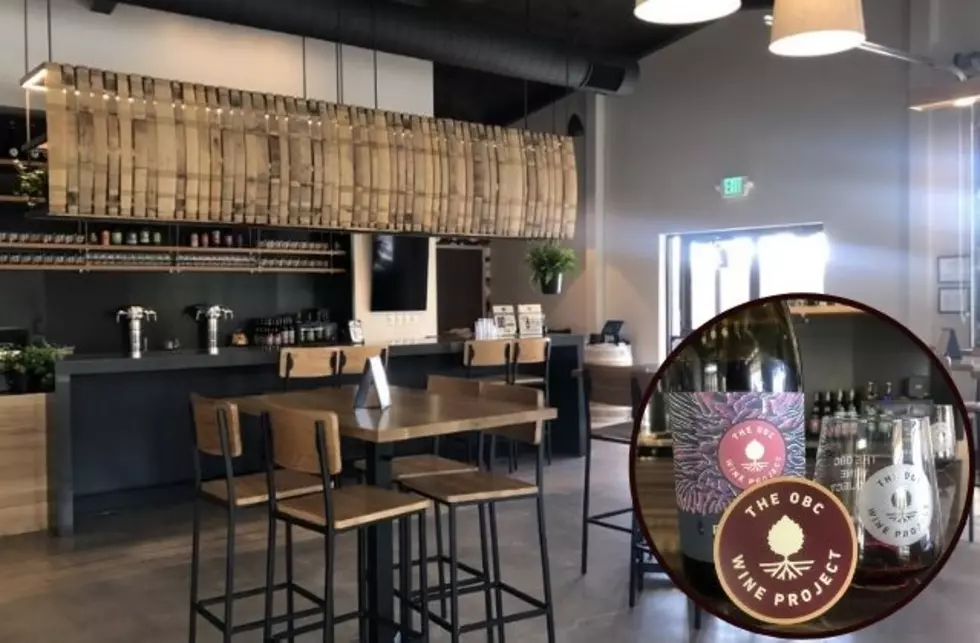 Virtual Tour: Look Inside The OBC Wine Project